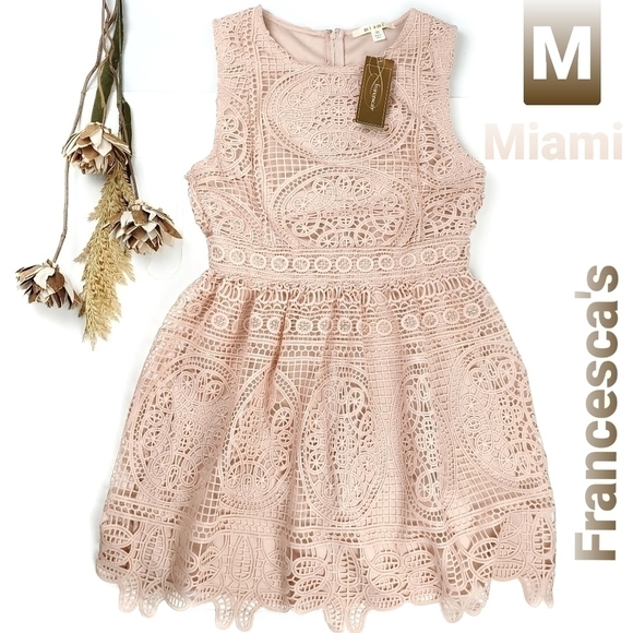 Francesca's Collections Dresses & Skirts - New Francesca Miami Pink Eylet Embroidered Dress M